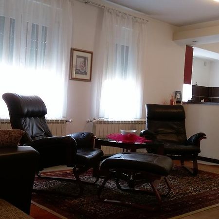 Apartment Krsmanovic Arandjelovac Esterno foto